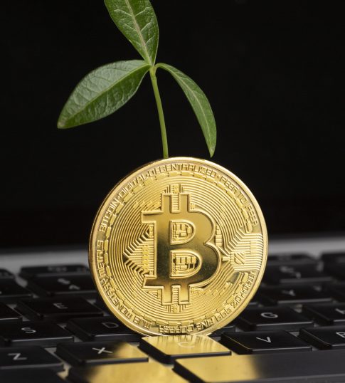 bitcoin-top-keyboard-with-plant